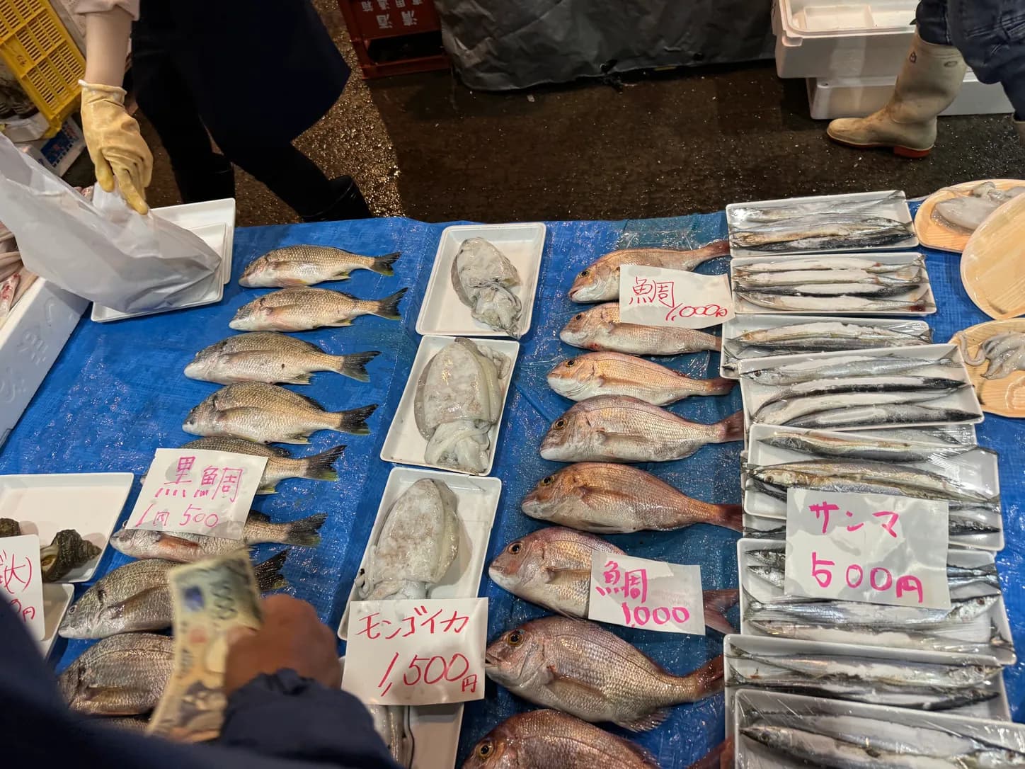 鯛にサンマ、モンゴウイカ。値札を見ながら選ぶのも楽しい。