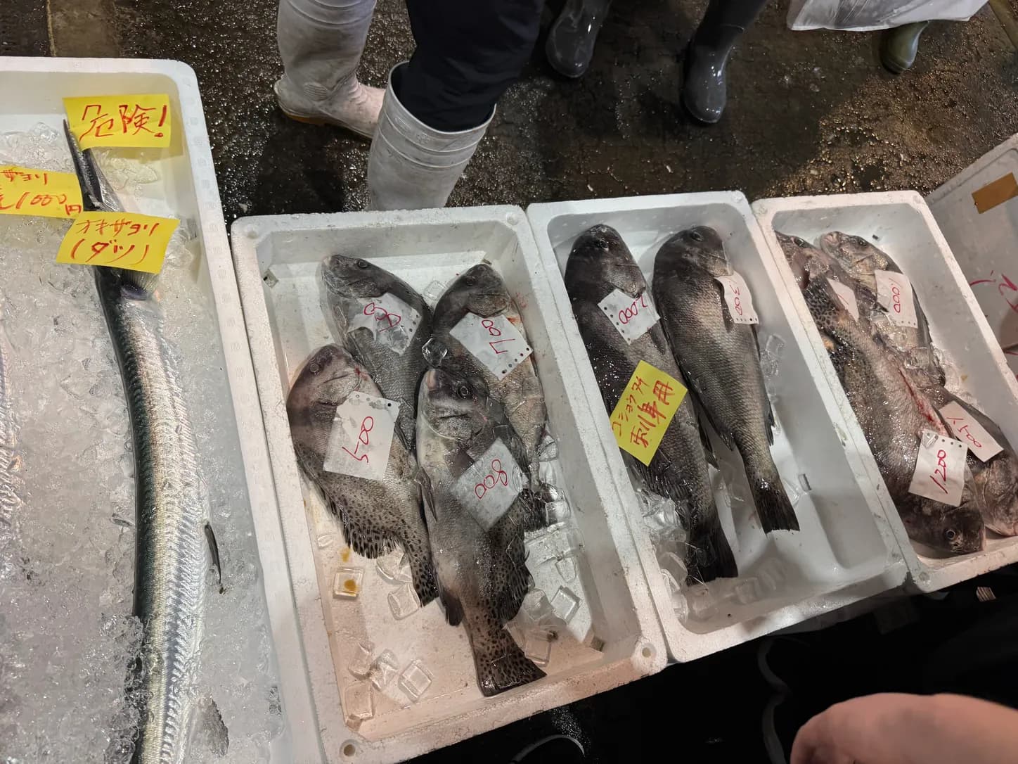 氷の上に並ぶ魚。どれも新鮮です。