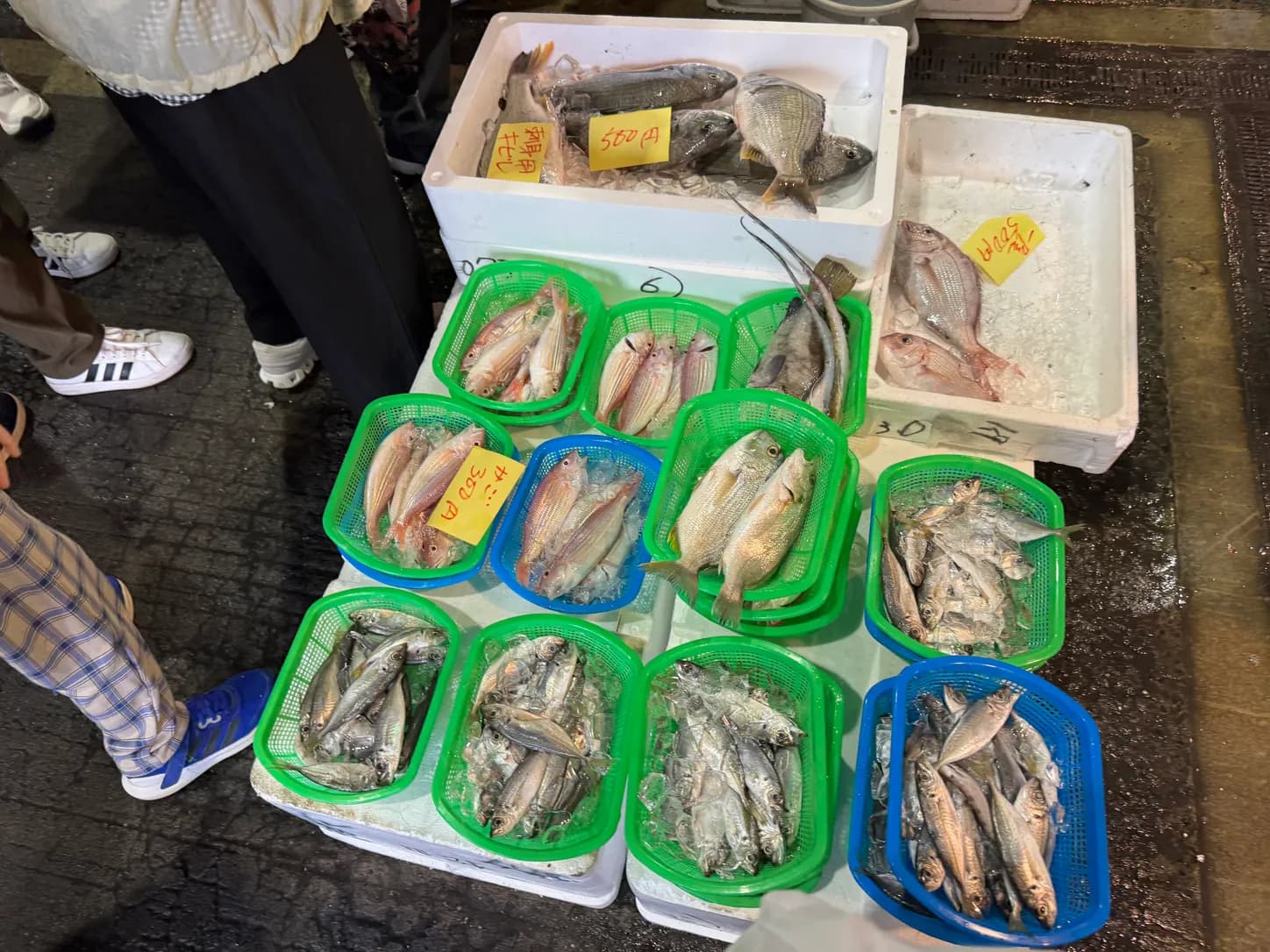 かごに分けて並ぶ小魚。